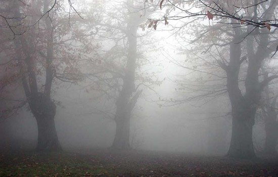 nebbia
