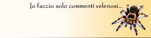 Teo 43